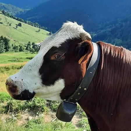 Au Refuge De Blanche Oda ve Kahvaltı *