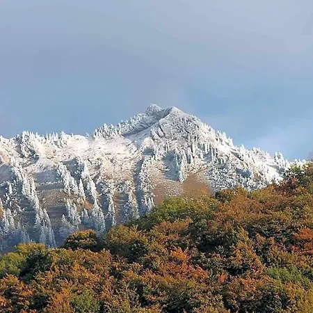 Au Refuge De Blanche Seythenex