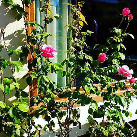 Bed & Breakfast Au Refuge De Blanche *